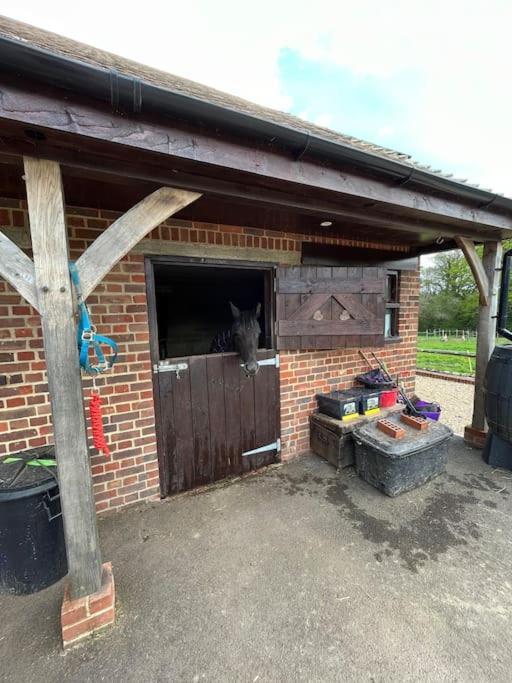 The Stable, Grove End Farm Petworth Exterior foto