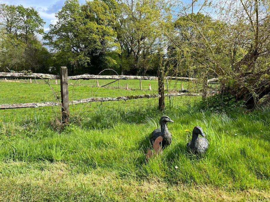 The Stable, Grove End Farm Petworth Exterior foto