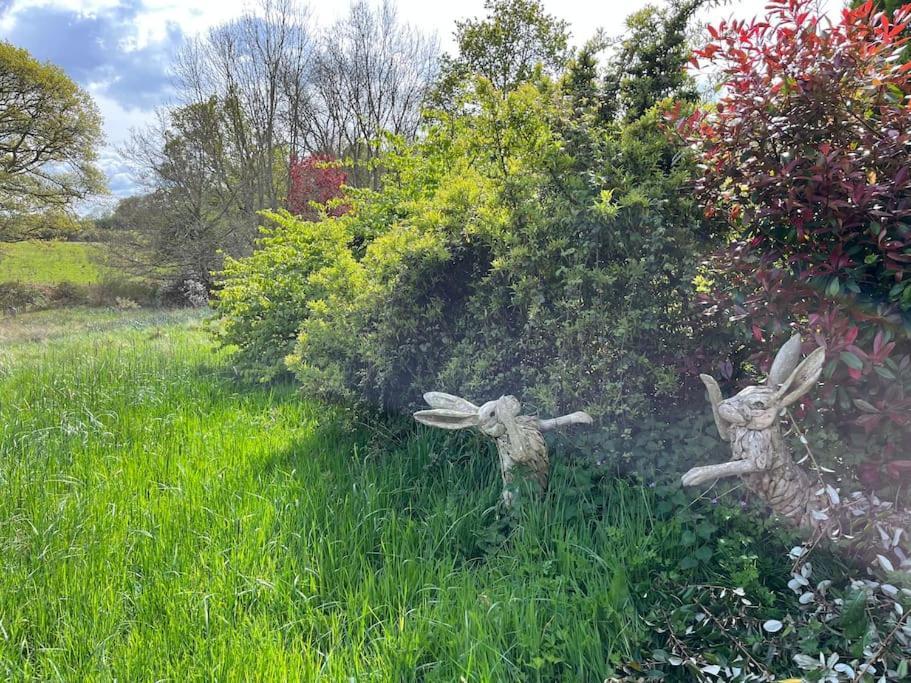 The Stable, Grove End Farm Petworth Exterior foto